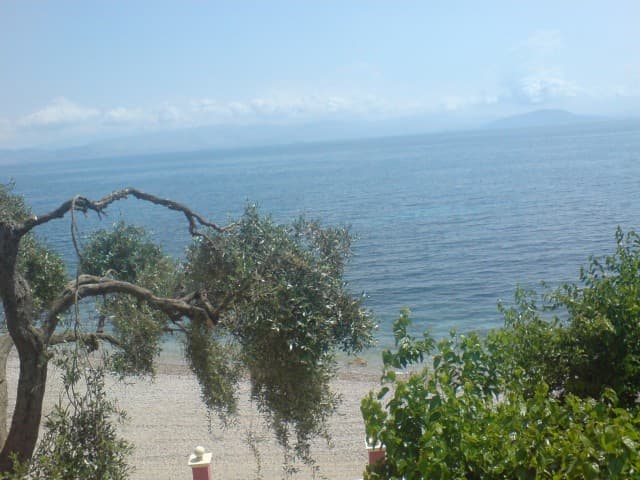 User Photo