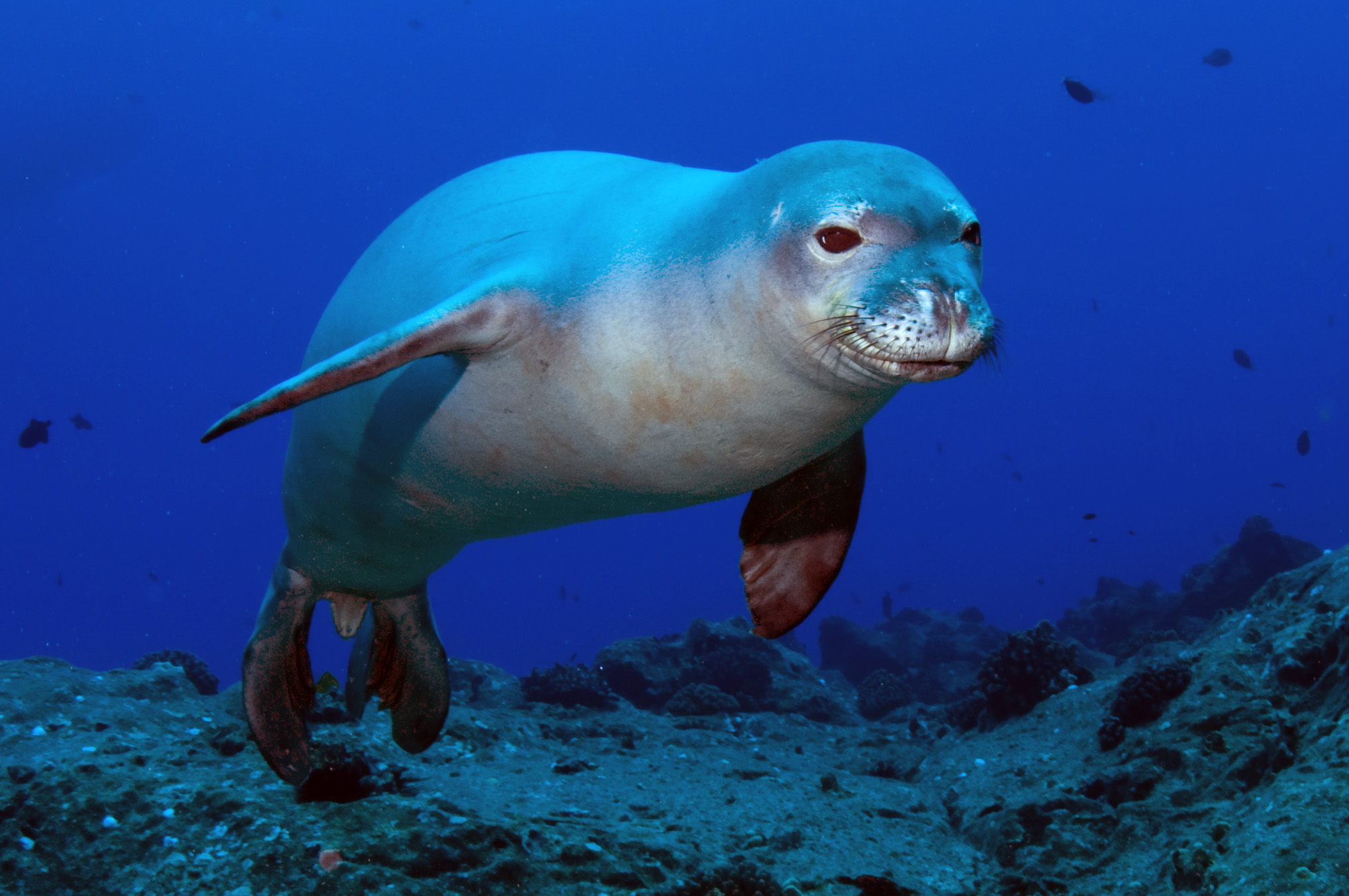 NATIONAL MARINE PARK 