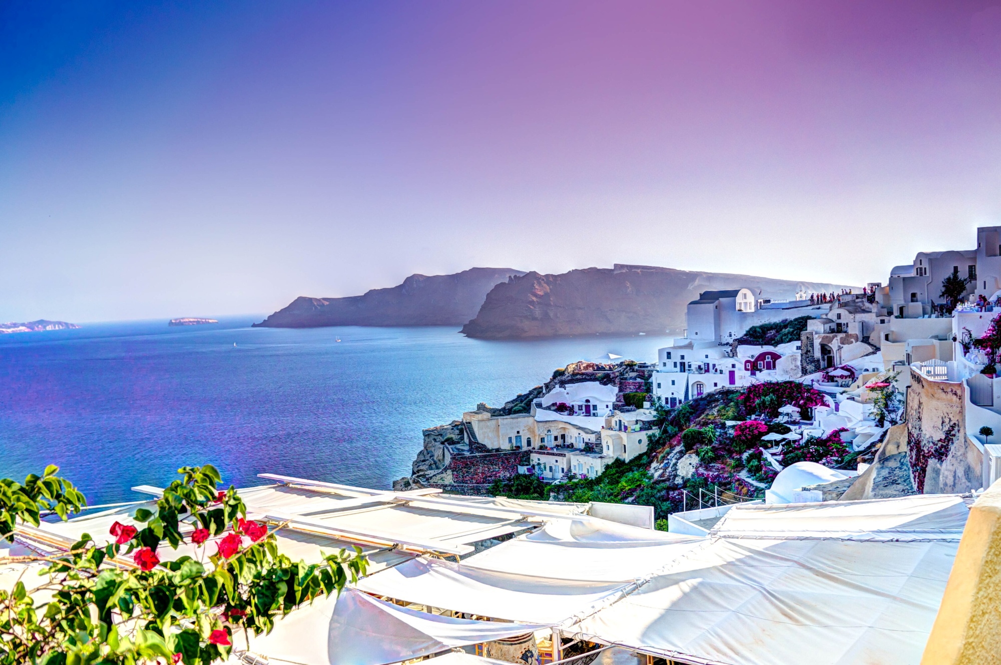 OIA - OIA 