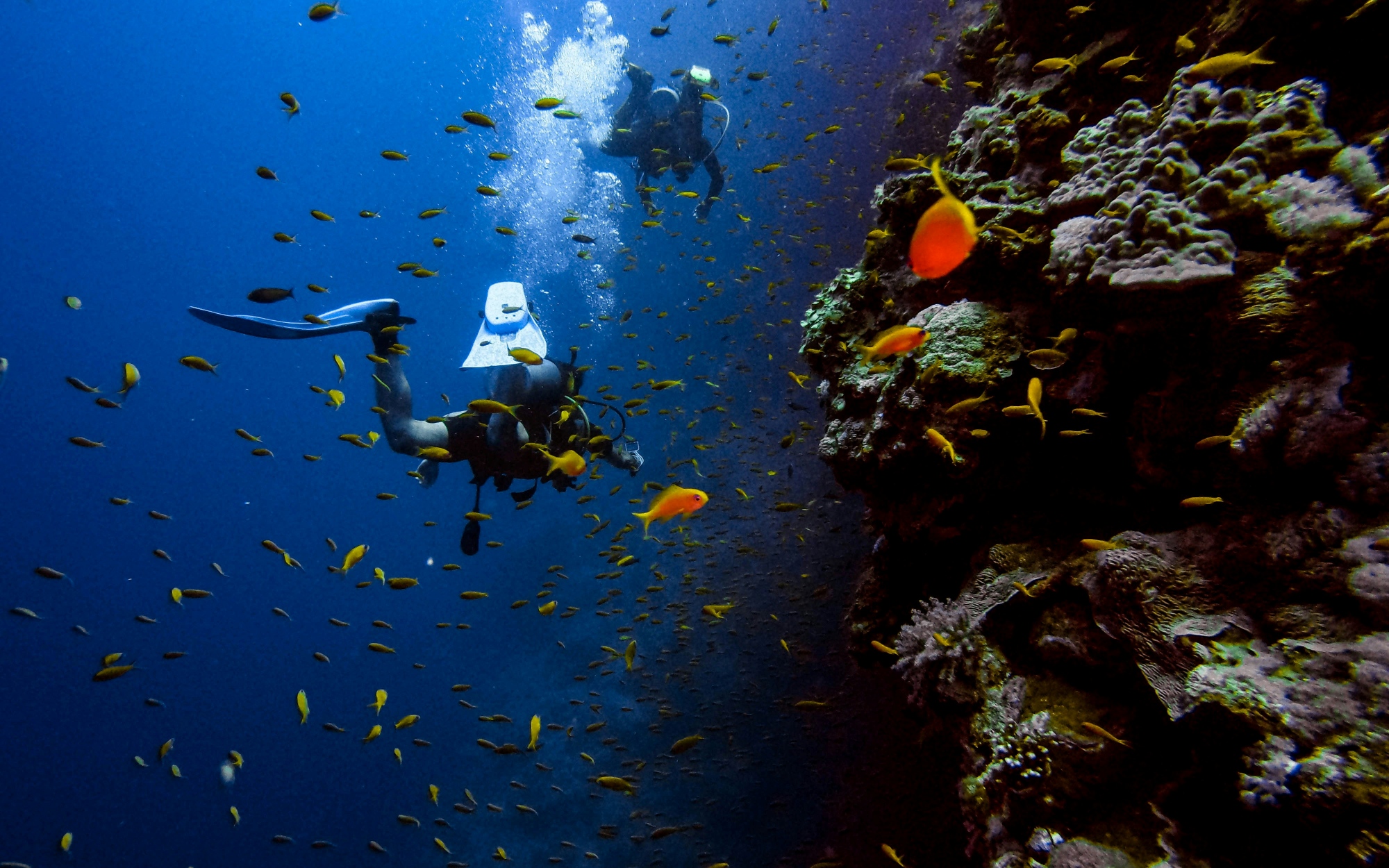 DIVING - PAXI 