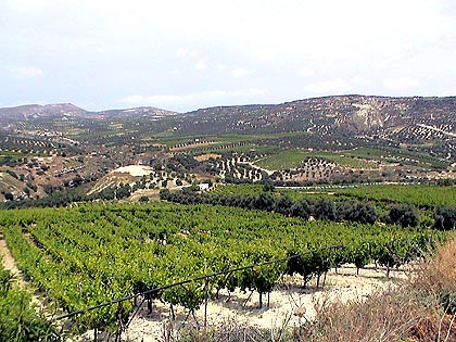 The fertile land of Crete