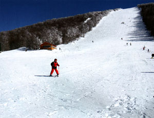 Vitsi ski resort
