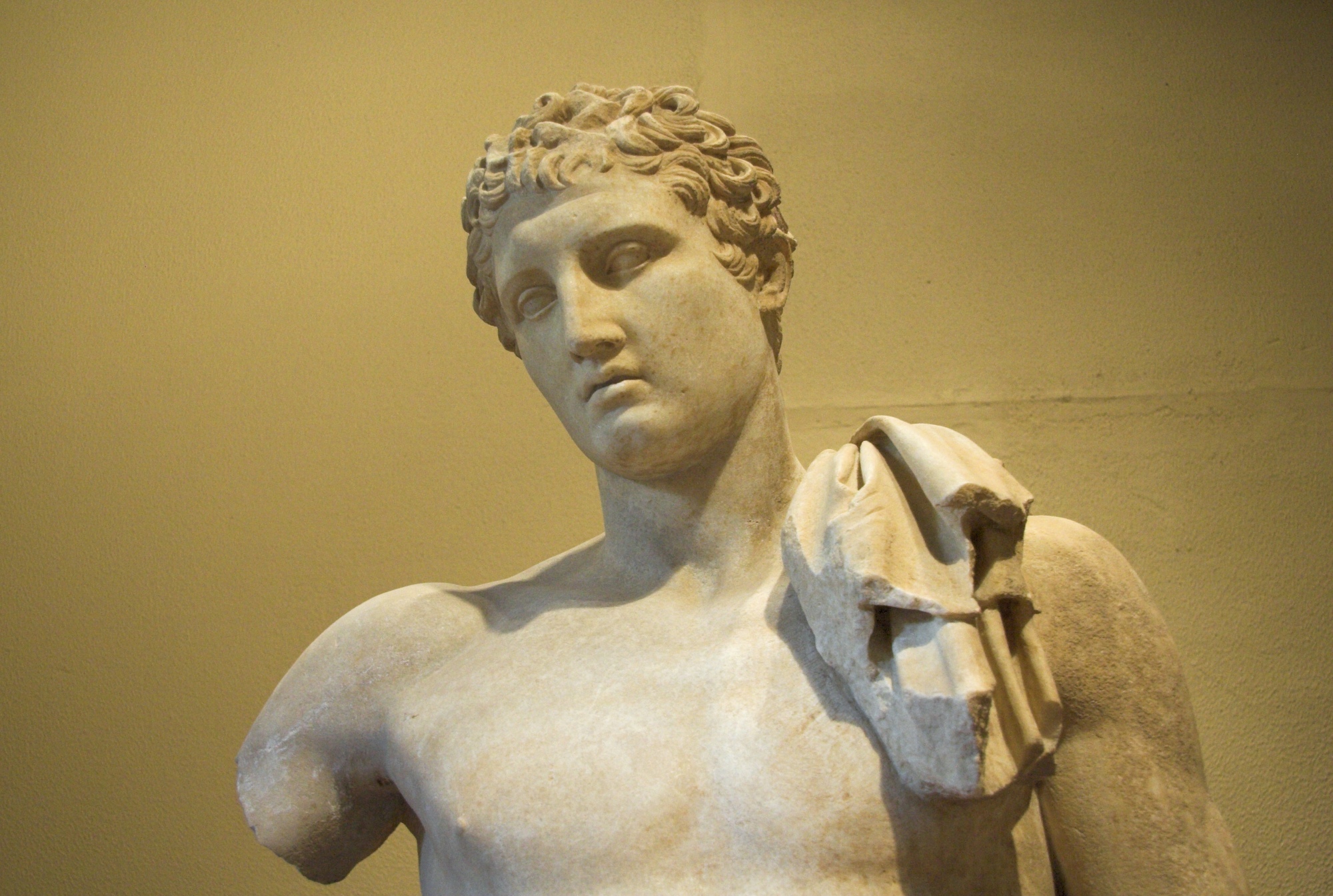 ARCHAEOLOGICAL MUSEUM PALEOPOLIS - ANDROS 