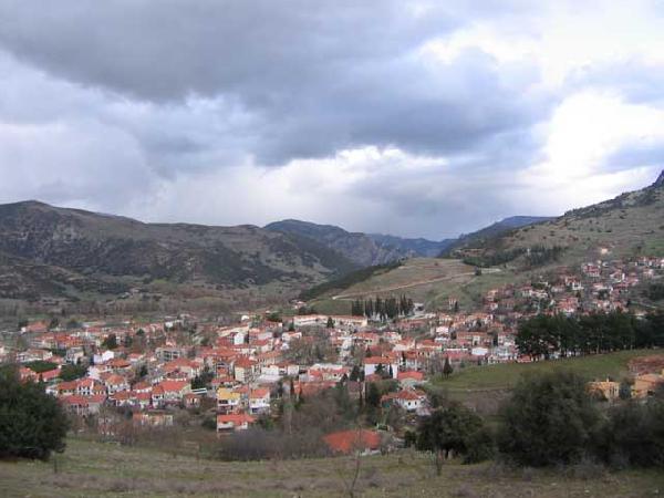 TZOVOLOS NIKOS