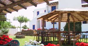 ALLEGRIA STUDIOS FILOXENIA BALOGIANNIS