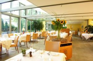 Hotel Engimatt