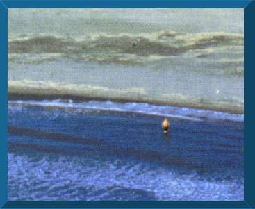 FAROS
