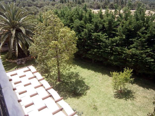 DINA APARTMENTS