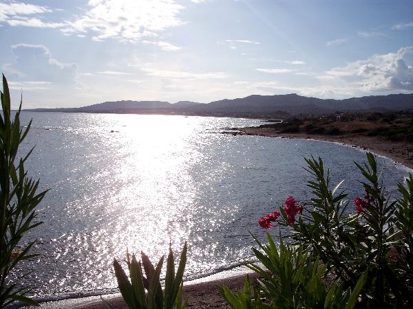 FTELIA VIEW