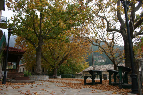PARK