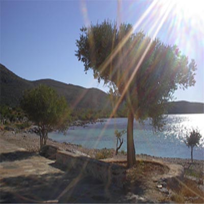 FINIKOUNDA