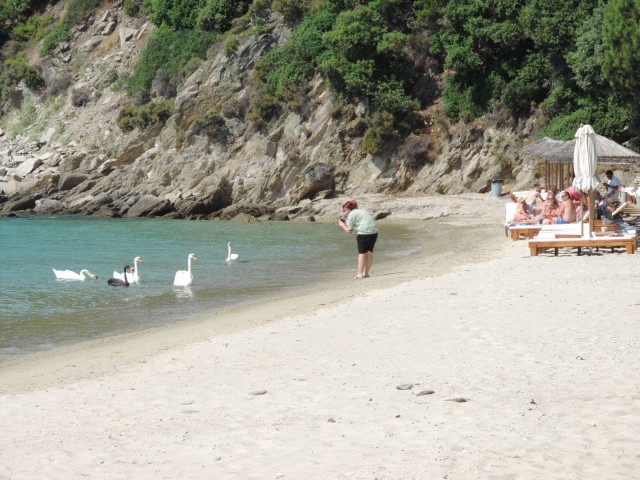 Ampelakia beach